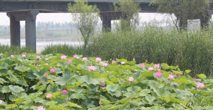 邯山天气预报10天查询，末来十天天气