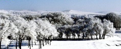 康保天气预报10天查询，末来十天天气