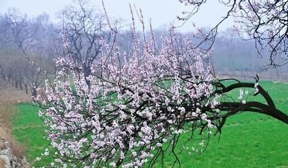 杏花岭天气预报10天查询，末来十天天气