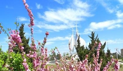 普兰店天气预报10天查询，末来十天天气