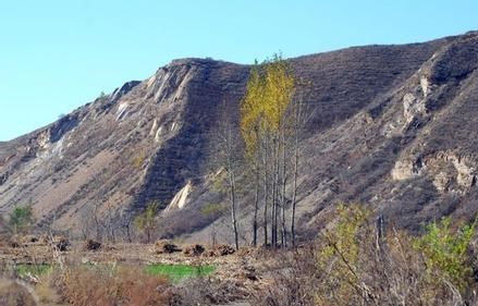 铁岭县天气预报10天查询，末来十天天气