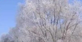 友谊天气预报10天查询，末来十天天气