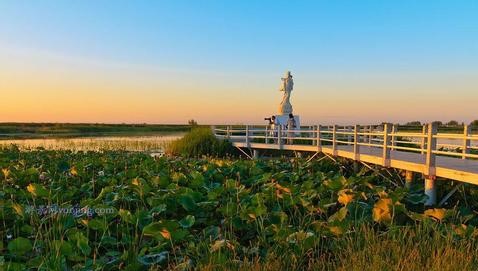 肇源天气预报10天查询，末来十天天气