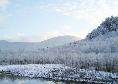 铁力天气预报10天查询，末来十天天气