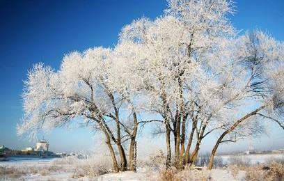 黑河天气预报10天查询，末来十天天气