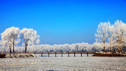 庆安天气预报10天查询，末来十天天气