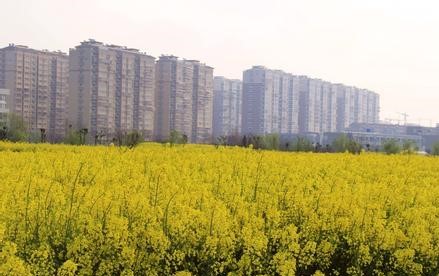 港闸天气预报10天查询，末来十天天气