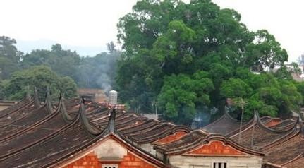 翔安天气预报10天查询，末来十天天气