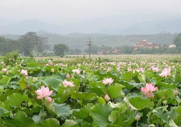 广昌天气预报10天查询，末来十天天气