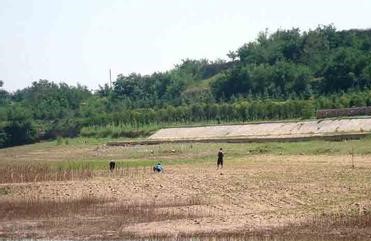 济阳天气预报10天查询，末来十天天气