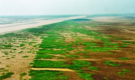 东营天气预报10天查询，末来十天天气