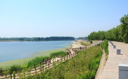 东平天气预报10天查询，末来十天天气