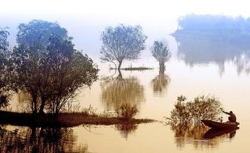 临沂天气预报10天查询，末来十天天气