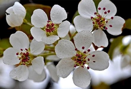 阳信天气预报10天查询，末来十天天气