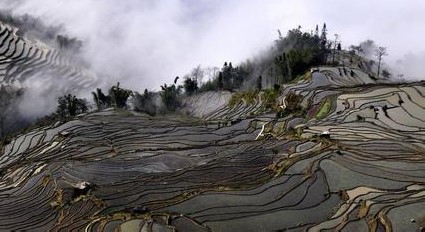 原阳天气预报10天查询，末来十天天气