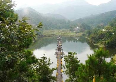 罗山天气预报10天查询，末来十天天气