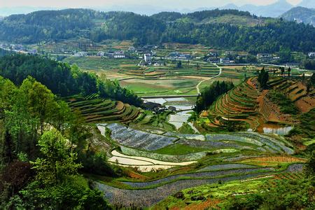 利川天气预报10天查询，末来十天天气