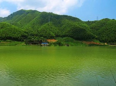 洪江天气预报10天查询，末来十天天气