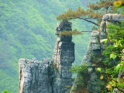 新化天气预报10天查询，末来十天天气