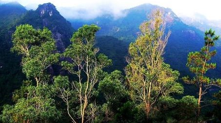 陆河天气预报10天查询，末来十天天气