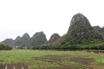 云城天气预报10天查询，末来十天天气