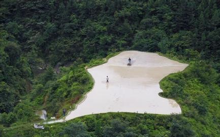 环江天气预报10天查询，末来十天天气