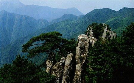 垫江天气预报10天查询，末来十天天气