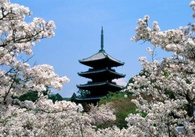 仁和天气预报10天查询，末来十天天气