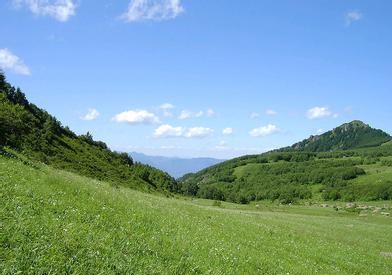 高坪天气预报10天查询，末来十天天气