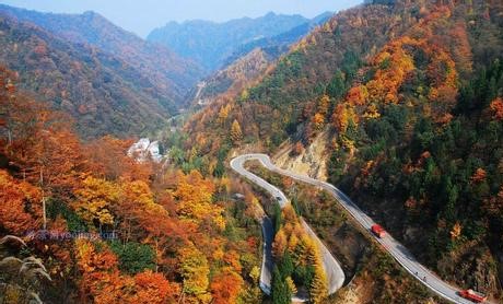 巴中天气预报10天查询，末来十天天气