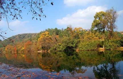 花溪天气预报10天查询，末来十天天气