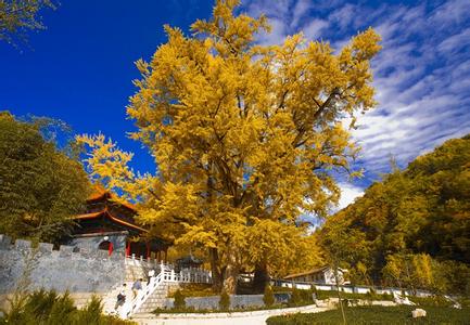 柞水天气预报10天查询，末来十天天气