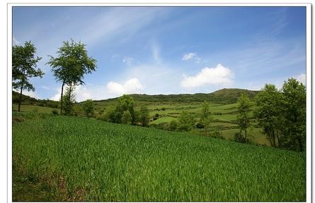 临夏县天气预报10天查询，末来十天天气