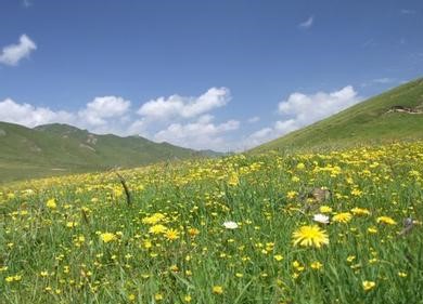 泽库天气预报10天查询，末来十天天气