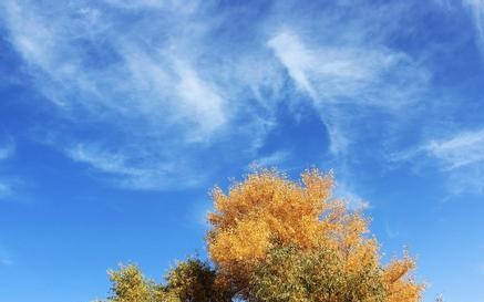 轮台天气预报10天查询，末来十天天气