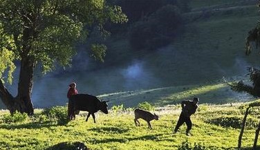 塔城天气预报10天查询，末来十天天气