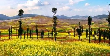 铜山天气预报30天查询,铜山区一个月天气