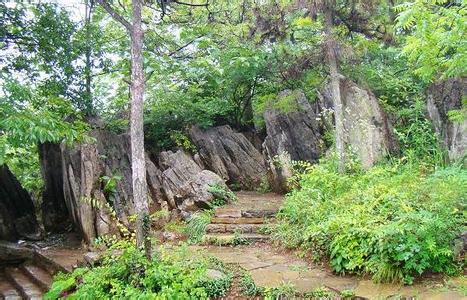 八公山天气预报30天查询,八公山区一个月天气