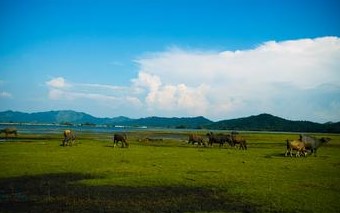 分宜天气预报30天查询,分宜县一个月天气