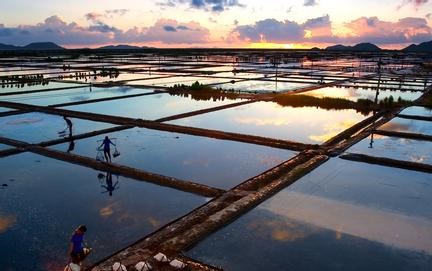 盐田天气预报30天查询,盐田区一个月天气