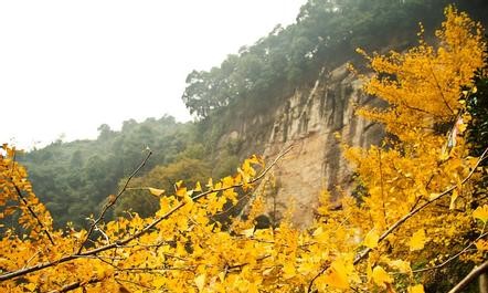 大邑天气预报30天查询,大邑县一个月天气