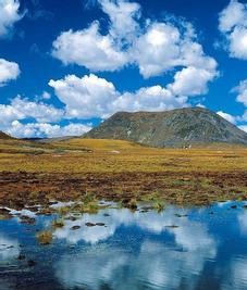 康马天气预报30天查询,康马县一个月天气