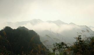 中坜天气预报30天查询,中坜市一个月天气