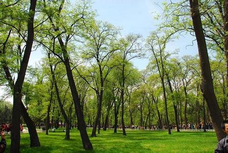 太原迎泽天气预报_迎泽天气预报一周7天太原迎泽天气预报,迎泽天气预报一周7天