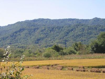 大同南郊天气预报_南郊天气预报一周7天大同南郊天气预报,南郊天气预报一周7天