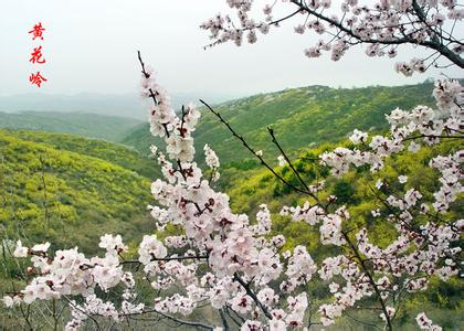 临汾安泽天气预报_安泽天气预报一周7天临汾安泽天气预报,安泽天气预报一周7天