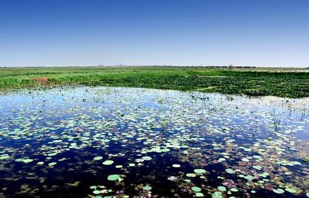 大庆龙凤天气预报_龙凤天气预报一周7天大庆龙凤天气预报,龙凤天气预报一周7天