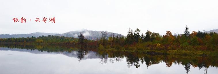 伊春翠峦天气预报_翠峦天气预报一周7天伊春翠峦天气预报,翠峦天气预报一周7天