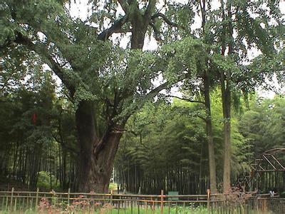 马鞍山花山天气预报_花山天气预报一周7天马鞍山花山天气预报,花山天气预报一周7天