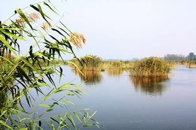 宿州泗县天气预报_泗县天气预报一周7天宿州泗县天气预报,泗县天气预报一周7天